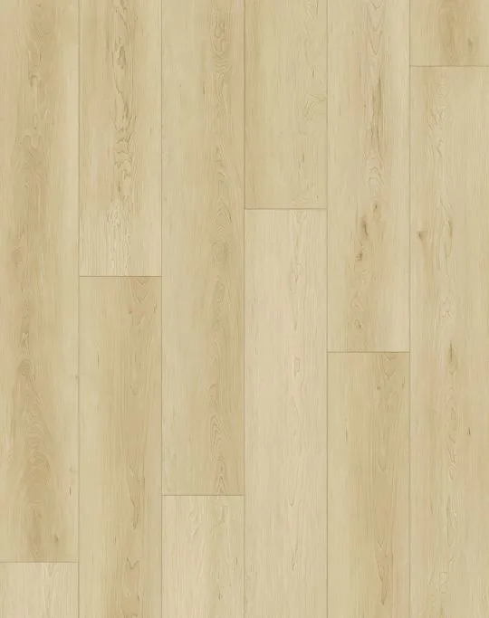 American Maple flooring