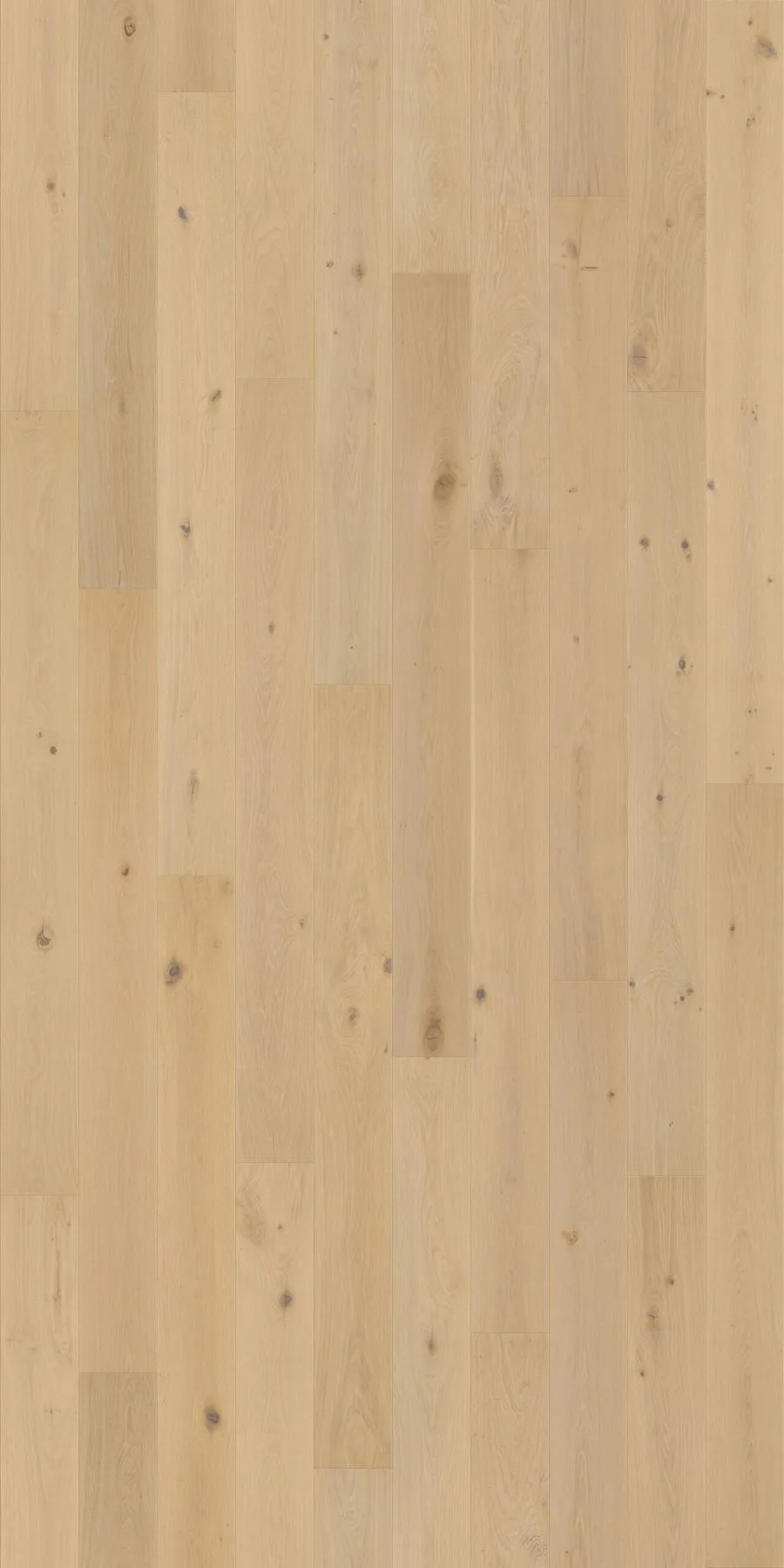 Westminster flooring