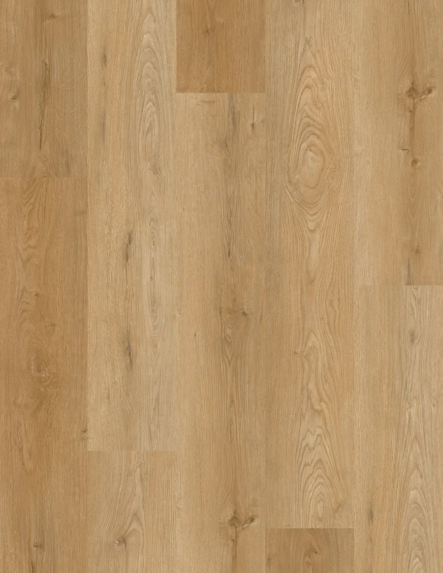 Belvedere LI-DM11 Shop Luxury Vinyl flooring