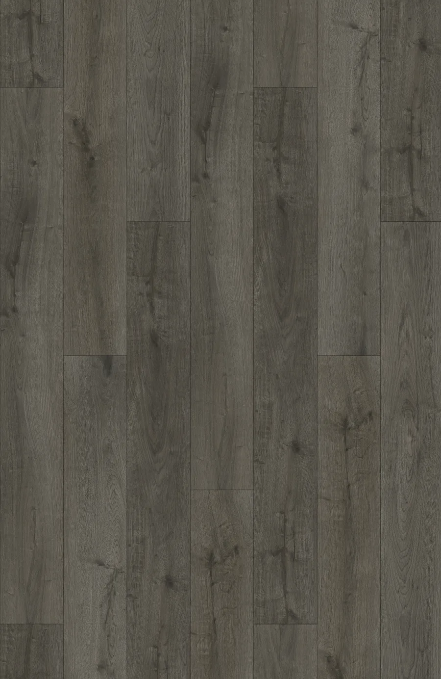 Westport LI-DM09 Shop Luxury Vinyl flooring