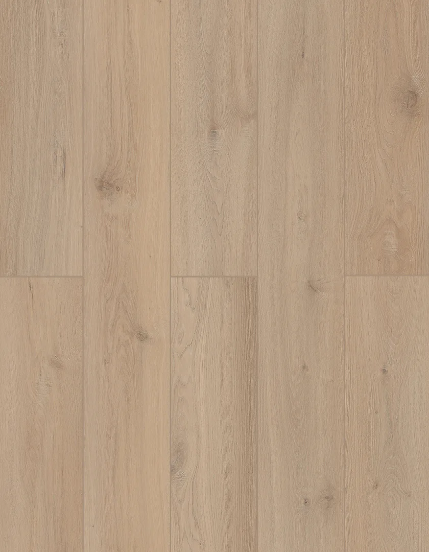 Sea Shell flooring