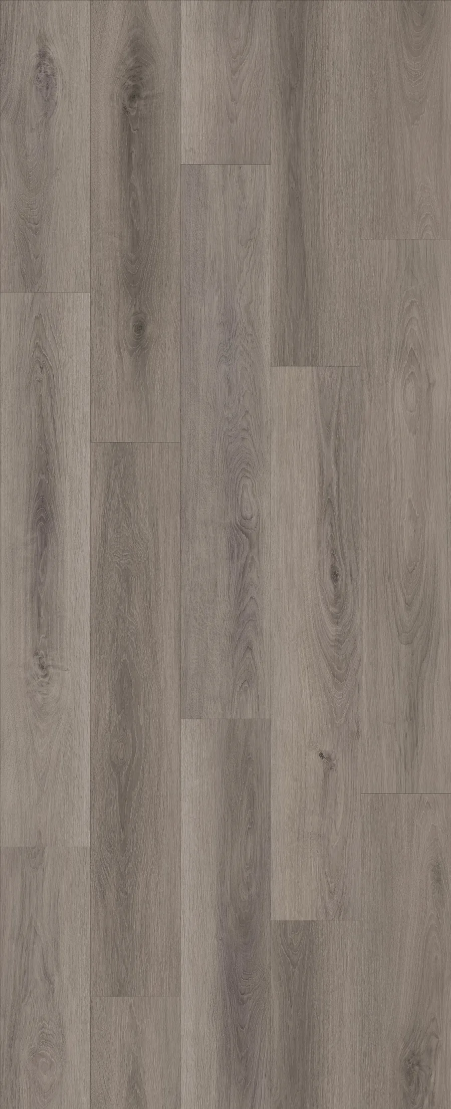 Lions Floor Comfort Heights Sunset Terrace LI-CH12 Laminate Flooring flooring