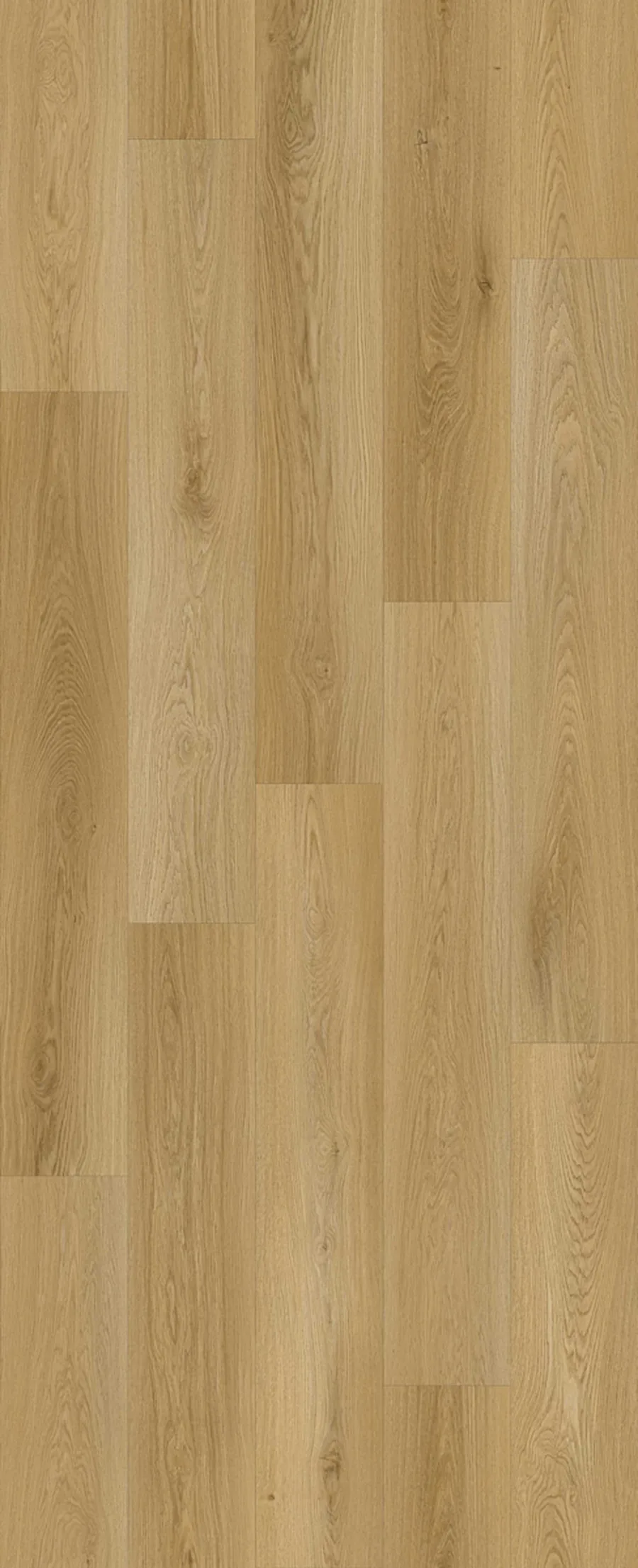 Lions Floor Haven Heights Elm Terrace LI-HH05 Laminate Flooring flooring