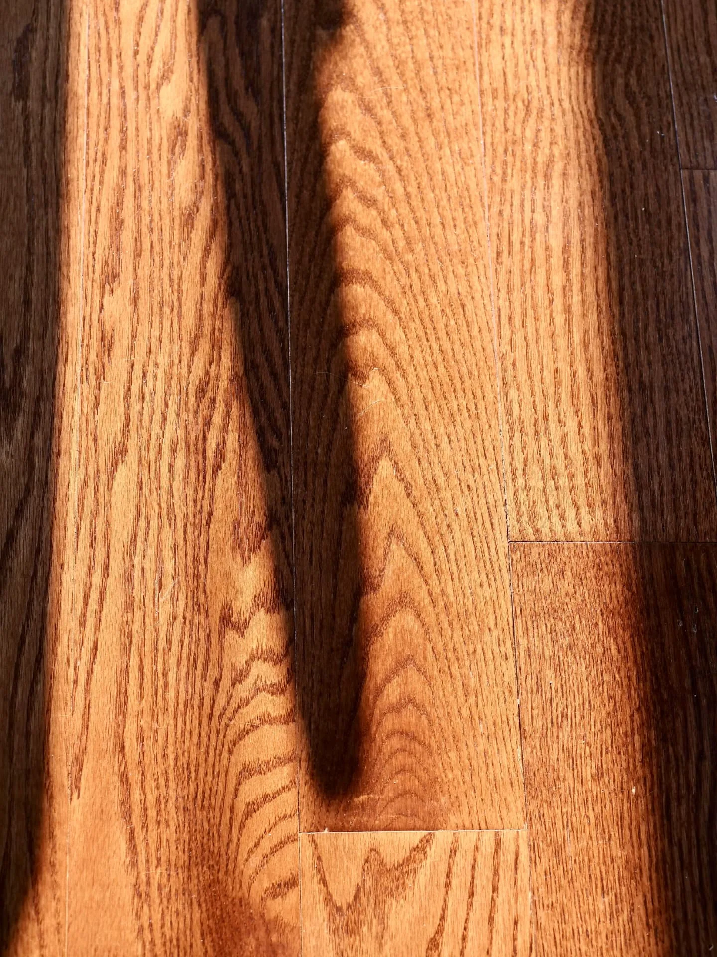 Wood species and stain colors